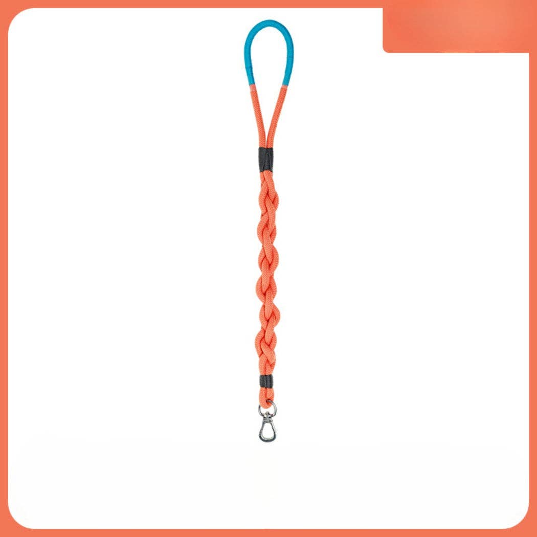 Braided Dog Leash 31in: Blue