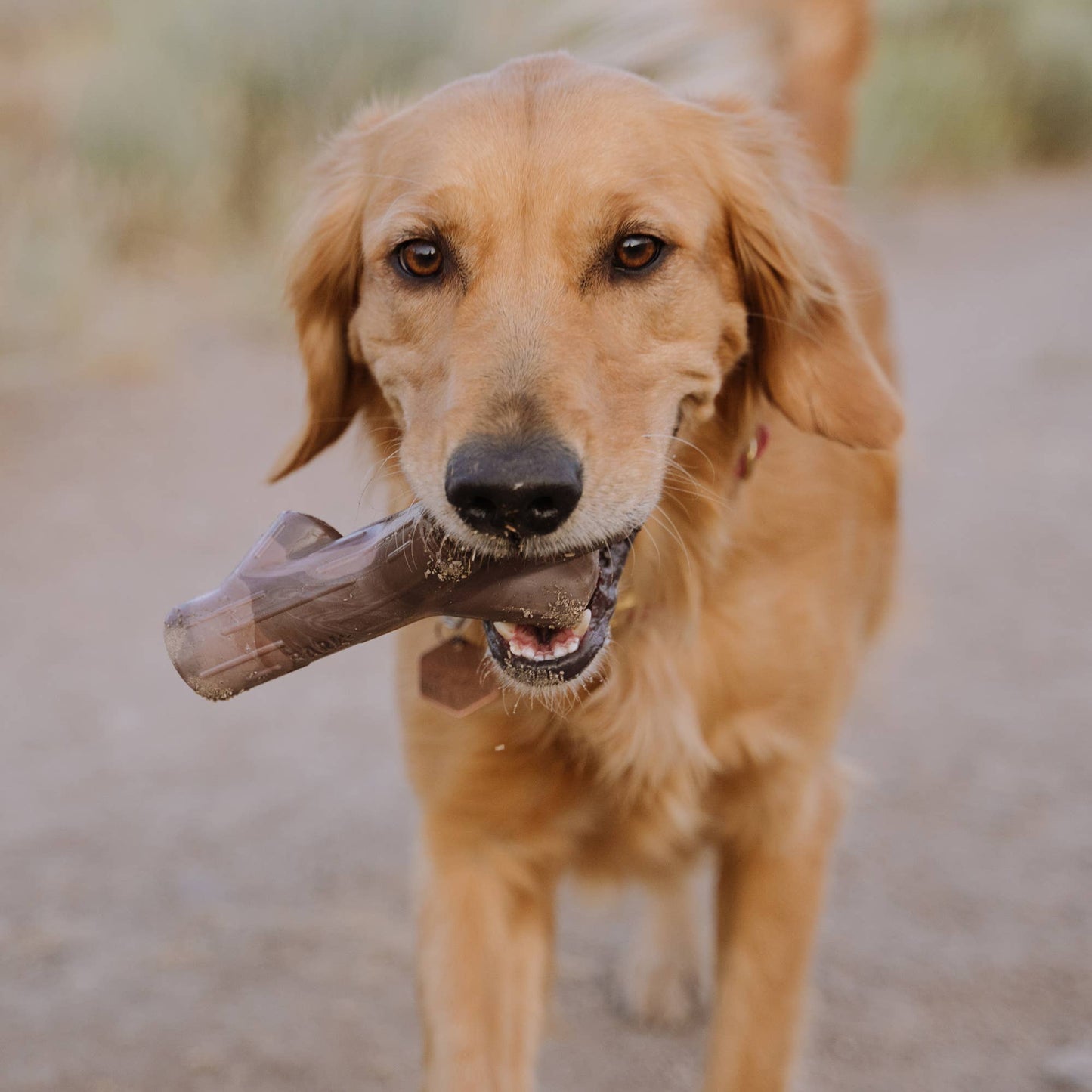 BARK Fetch Stick