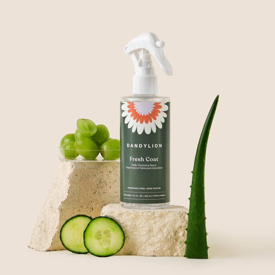 Daily Cleansing Spray
