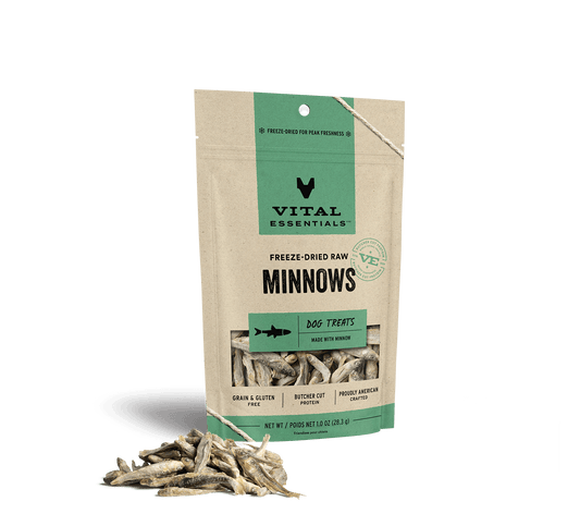 Minnows