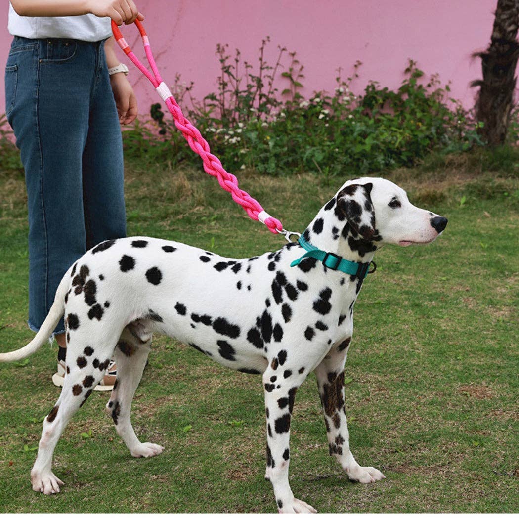Braided Dog Leash 31in: Blue