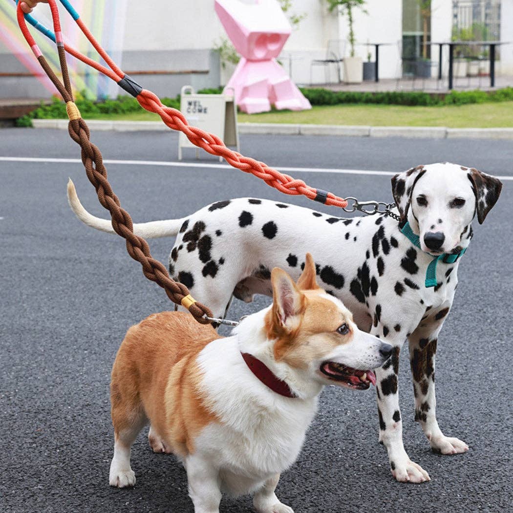 Braided Dog Leash 31in: Orange
