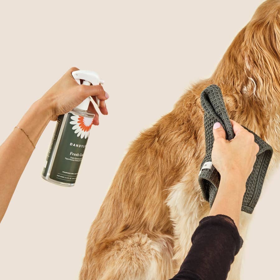 Daily Cleansing Spray