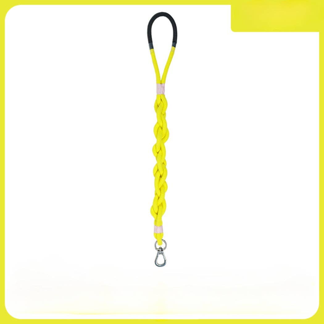 Braided Dog Leash 31in: Blue