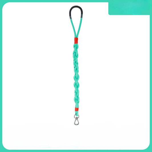 Braided Dog Leash 31in: Blue