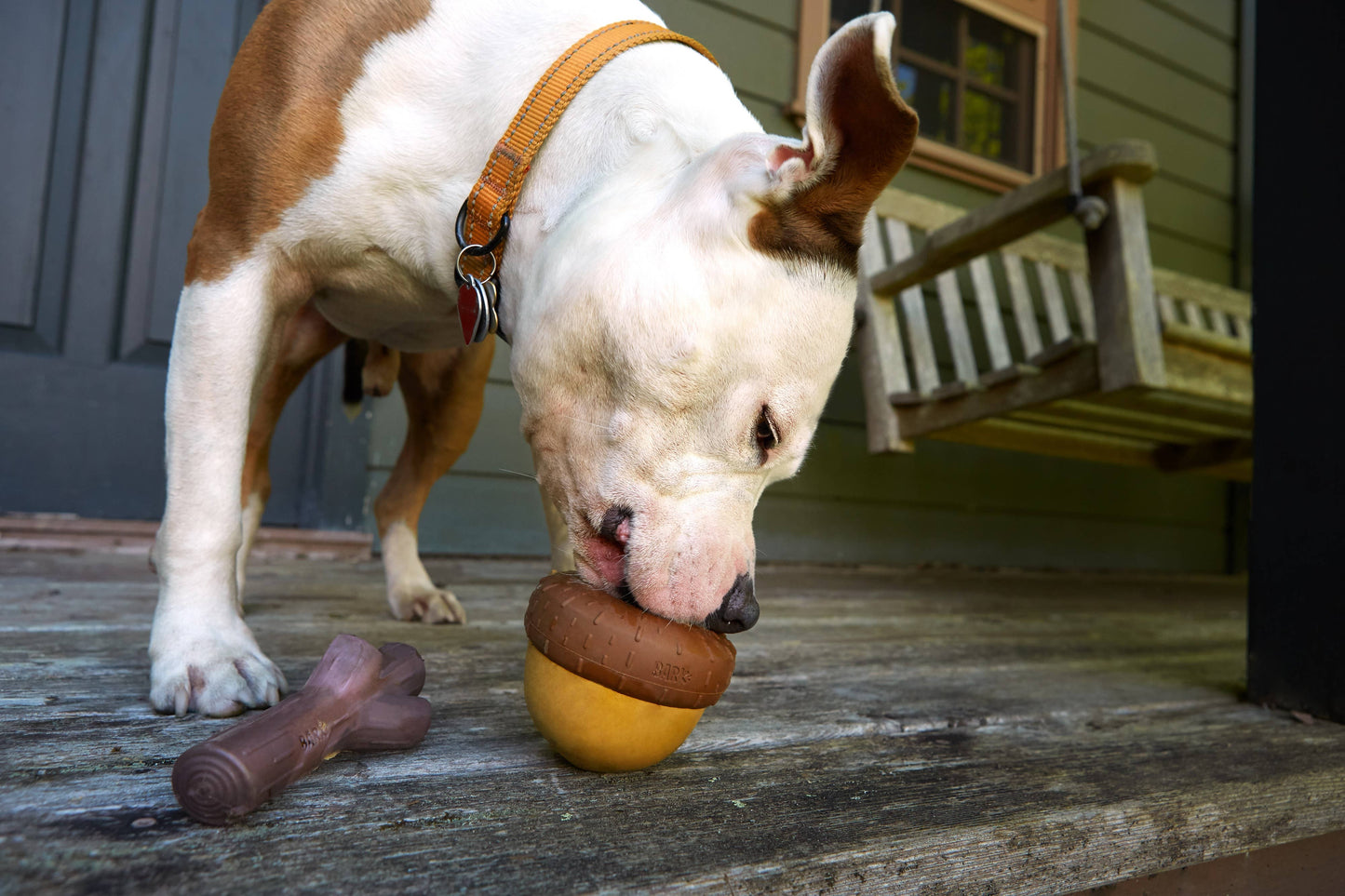 BARK Acornucopia