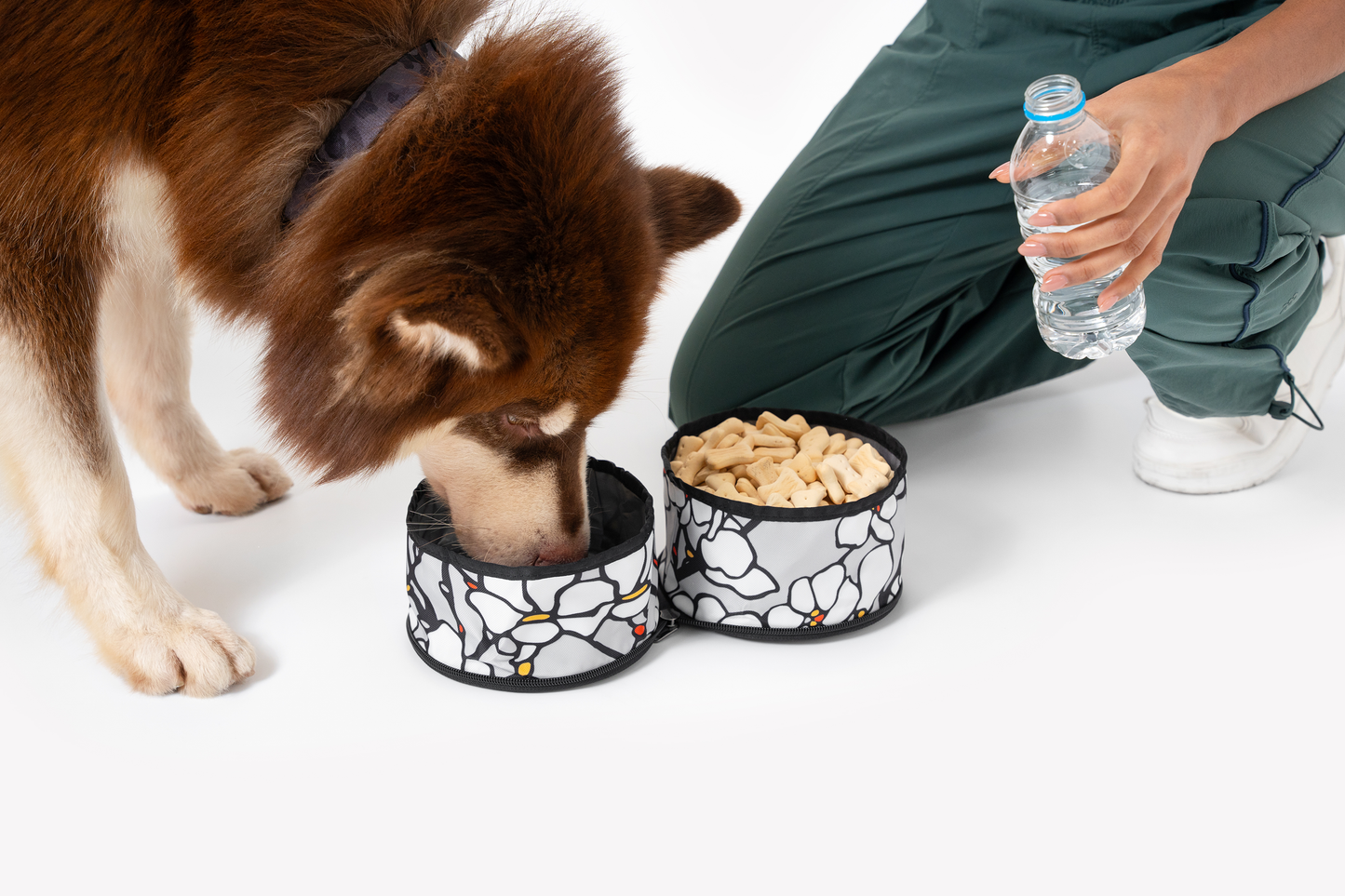 Superbowl: Ventura '73