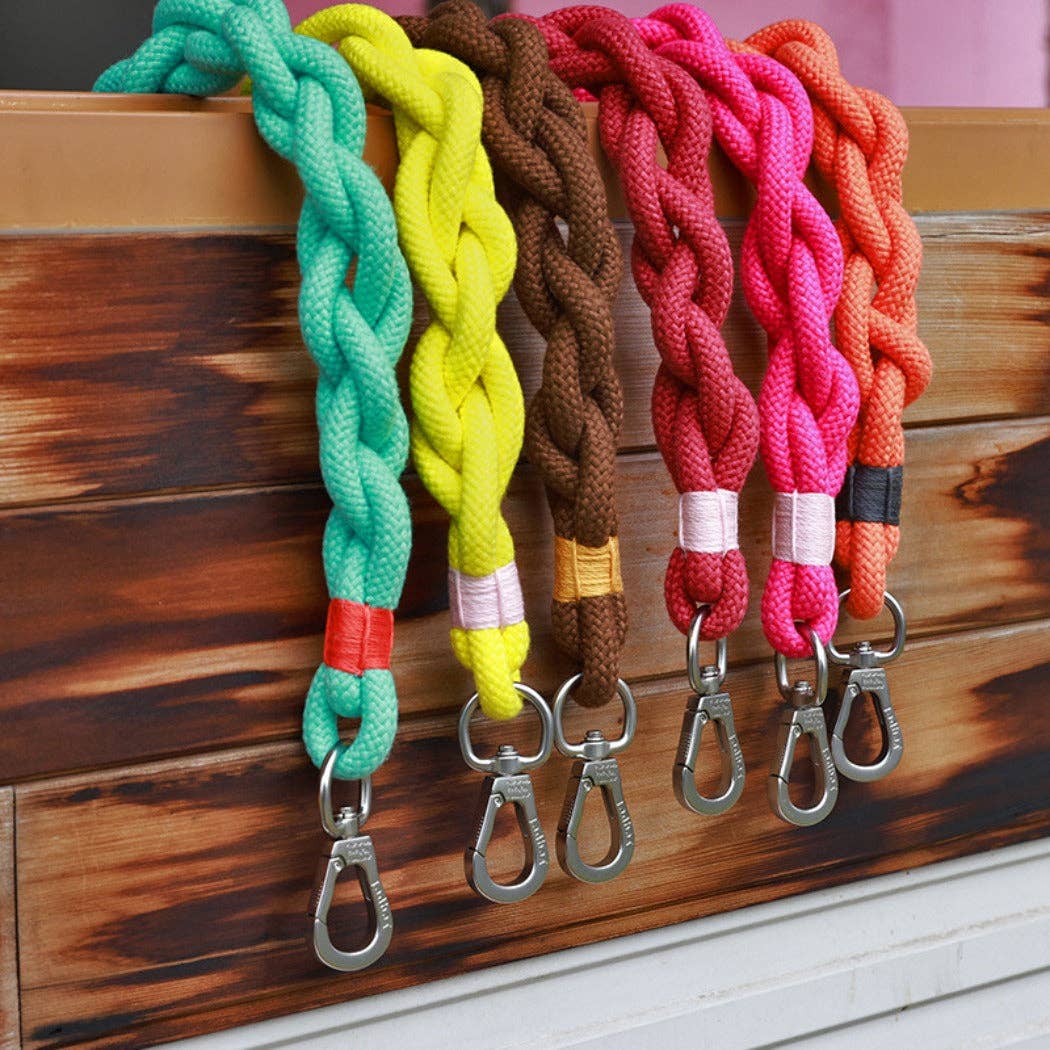 Braided Dog Leash 31in: Orange