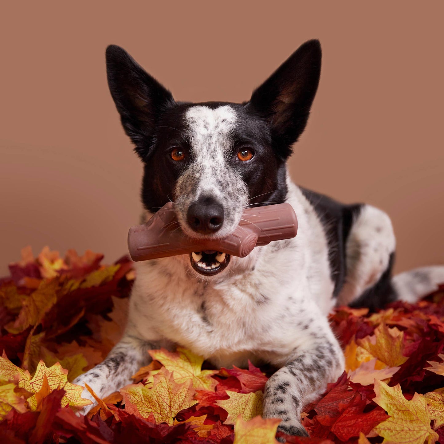 BARK Fetch Stick