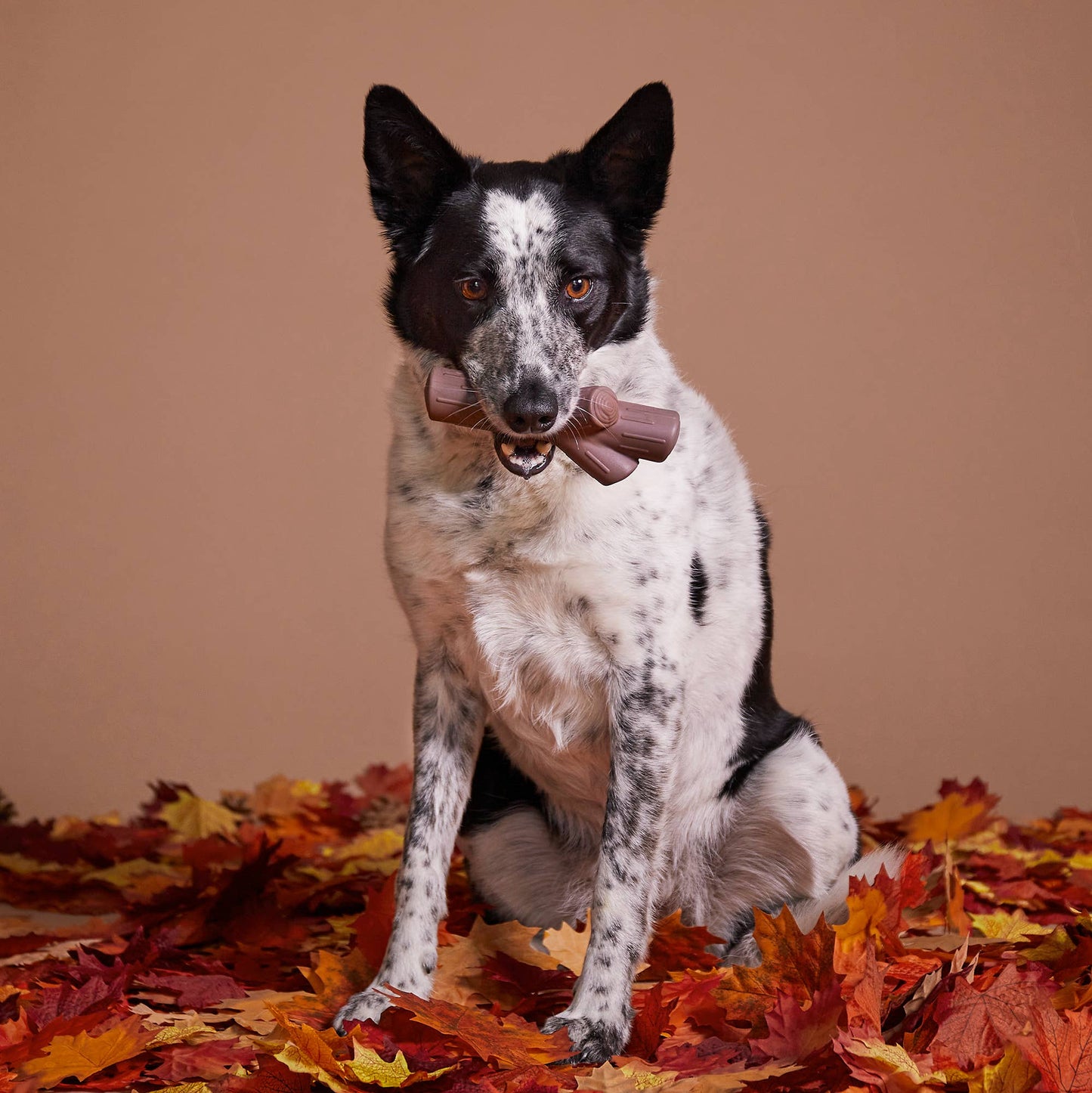 BARK Fetch Stick
