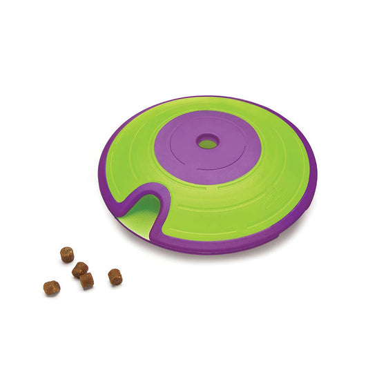 Maze Interactive Dog Puzzle